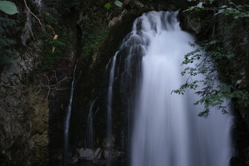 waterfall in the forest, gollinger waterfall