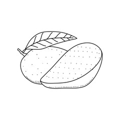 black and white fresh mango illustration with hand drawn or sketch style isolated on white background