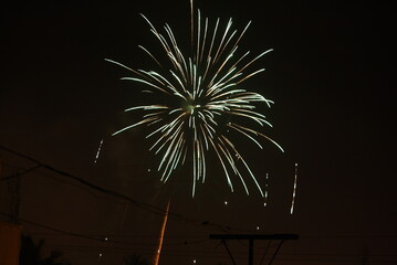 Fireworks in the night sky