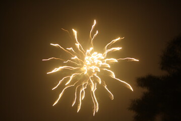 Firecrackers exploding in the night sky during Deepavali/Diwali in India