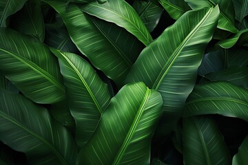 abstract floral pattern template green background, Bali style template green background, exotic tropical wall with green palm and banana leaves.