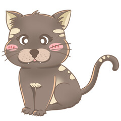 เลเยอร์ 15