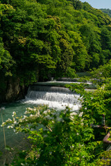 Cascade et ruisseau à Hakone