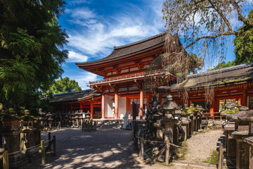 Kasuga Taisha, a shrine of one thousand lantern at nara, kansai, japan - obrazy, fototapety, plakaty