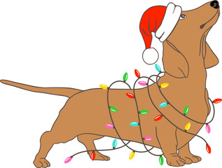 Christmas dachshund dog