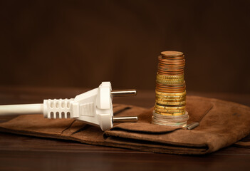 Electrical plug and money coins on a wallet. Energy savings, efficiency, save power or energy crisis background.