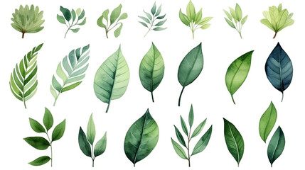 緑の葉　水彩イラストセット