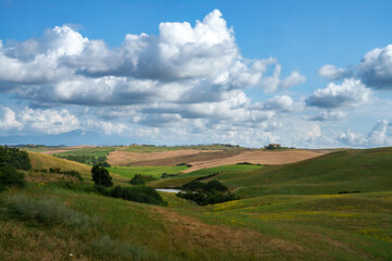 Rural landscape in Val d Orcia, Tuscany, at summer