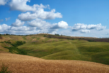 Rural landscape in Val d Orcia, Tuscany, at summer