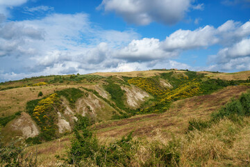 Rural landscape in Val d Orcia, Tuscany, at summer