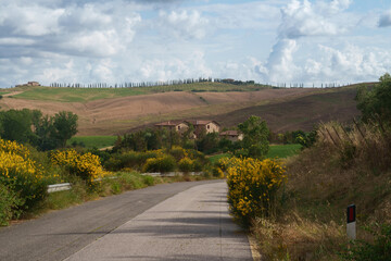 Rural landscape in Val d Orcia, Tuscany, at summer