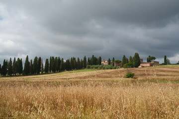 Fototapeta premium Country landscape near Sinalunga, Tuscany