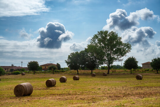 Country landscape near Sinalunga, Tuscany