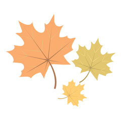 Autumn Leaves Illustration