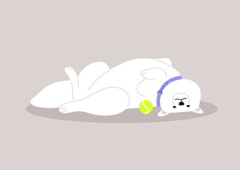 An endearing Samoyed puppy taking a nap with its belly up, displaying its adorable and vulnerable pose