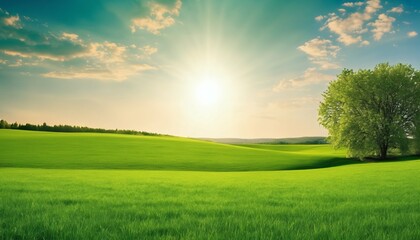 Fototapeta na wymiar Spring summer background featuring beautiful panoramic natural landscape of green field with grass against blue sky with sun