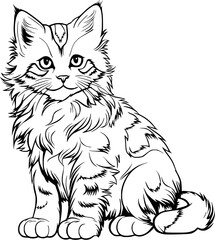 Cat Hand Drawn Realistic Detailed Coloring Book Animal Illustrations