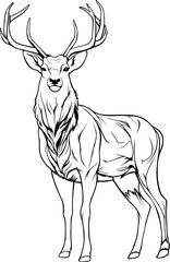 Deer Hand Drawn Realistic Detailed Coloring Book Animal Illustrations