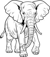 Elephant Hand Drawn Realistic Detailed Coloring Book Animal Illustrations