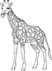 Giraffe Hand Drawn Realistic Detailed Coloring Book Animal Illustrations