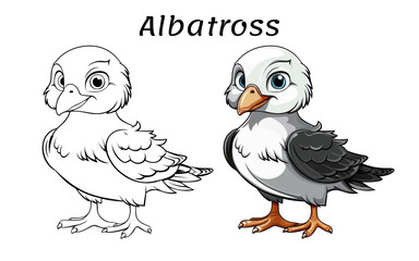 Albatross Urial Cute Animal Coloring Book Hand Drawn Illustration for kids