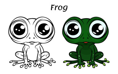 Frog Cute Animal Coloring Book Hand Drawn Illustration for kids