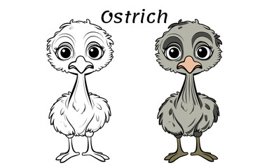 Ostrich Cute Animal Coloring Book Hand Drawn Illustration for kids