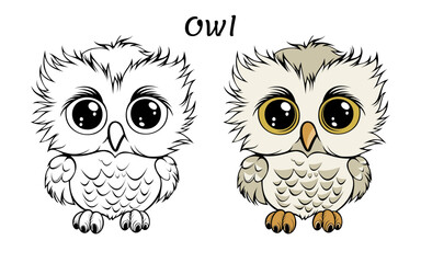 Owl Cute Animal Coloring Book Hand Drawn Illustration for kids