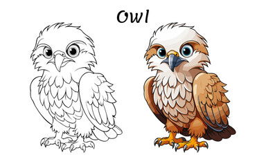 Owl Cute Animal Coloring Book Hand Drawn Illustration for kids