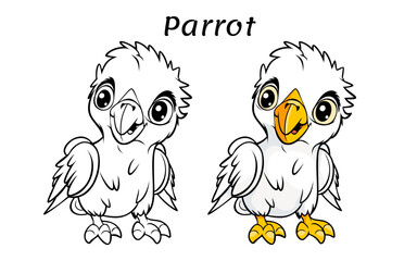 Parrot Cute Animal Coloring Book Hand Drawn Illustration for kids