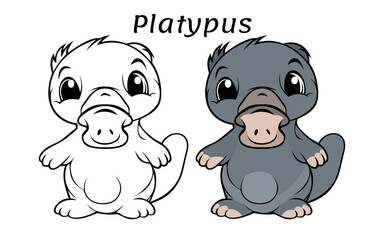 Platypus Cute Animal Coloring Book Hand Drawn Illustration for kids