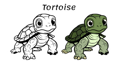 Tortoise Cute Animal Coloring Book Hand Drawn Illustration for kids