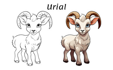Urial Cute Animal Coloring Book Hand Drawn Illustration for kids