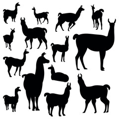 Collection of llama silhouette vector illustrations.