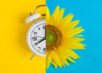 Collage of white alarm clock and sunflower on the colored  background. Top view. Close-up.