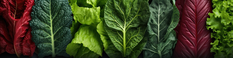 Panoramic view of fresh green salad leaves on black background, banner - obrazy, fototapety, plakaty