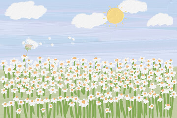 A field of daisy with a cloud in the sky wallpaper