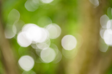 Muted abstract background of unfocused lens flare on a blurry green background