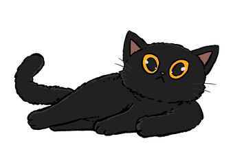 Black cat Posture