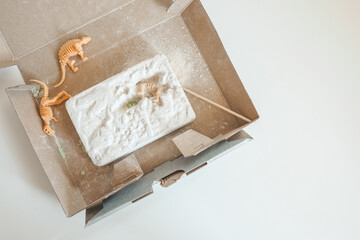An interesting activity for children: excavating dinosaurs,
