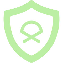 Shield Icon