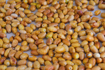 Close up macro elaeagnus russian olive silverberry silverbush fruit plant snack seed.