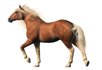 Obraz premium The Belgian horse, is a draft horse originating from the Brabant region of Belgium. Known for its strength and robustness, it tends to have a chestnut coat, and a flaxen mane and tail. 3D Rendering 