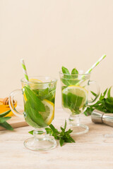 Mojito cocktail. Refreshing mojito cocktail with lime, lemon and mint in a tall glass with a stick
