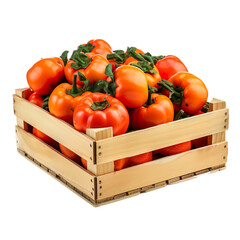 angled view of a crate of persimmons fruit isolated on a white transparent background