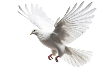 Fototapeta premium A free flying white dove of peace isolated on transparent or white background. Generative AI