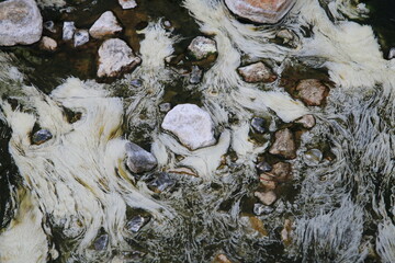 Algae in Hot Springs and fog in Chae Son National Park, Lampang, Thailand, Natural Mineral Water.