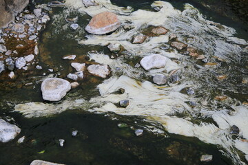 Algae in Hot Springs and fog in Chae Son National Park, Lampang, Thailand, Natural Mineral Water.