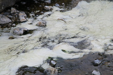 Algae in Hot Springs and fog in Chae Son National Park, Lampang, Thailand, Natural Mineral Water.
