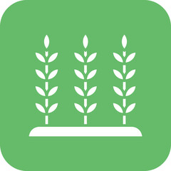 Wheat Plantation Icon